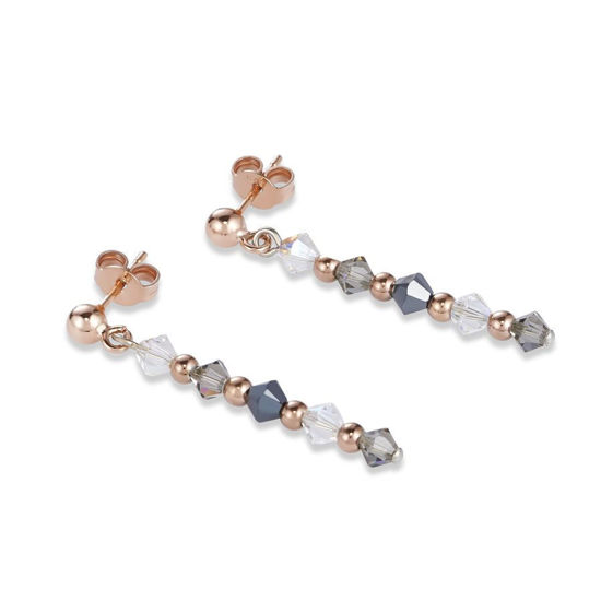Image sur Boucles d'oreilles grises de la Collection Cœur de lion