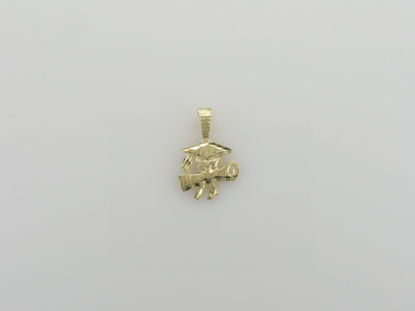 Image de Pendentif graduation en or jaune 10KT