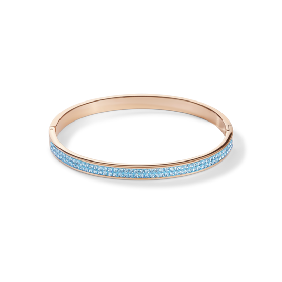 Image sur Bracelet rigide rose de la Collection Cœur de lion