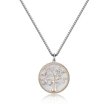 Image de Collier R0A987001Z en argent 925 de la Collection Reign