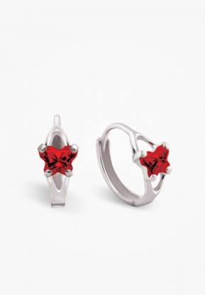 Image de Boucles d'oreilles en or blanc 10KT et pierre du mois de janvier Collection Bfly