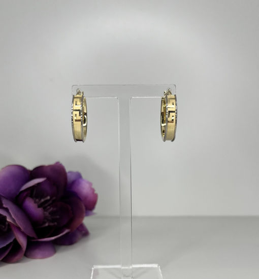 Image sur Boucles d'oreilles en or jaune et blanc