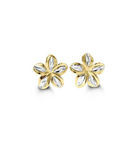 Image sur Boucles d'oreilles en or jaune et blanc