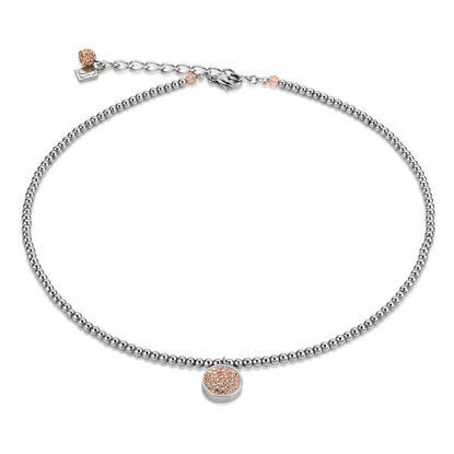 Image de Collier en acier inoxydable et cristaux de la Collection Cœur de lion