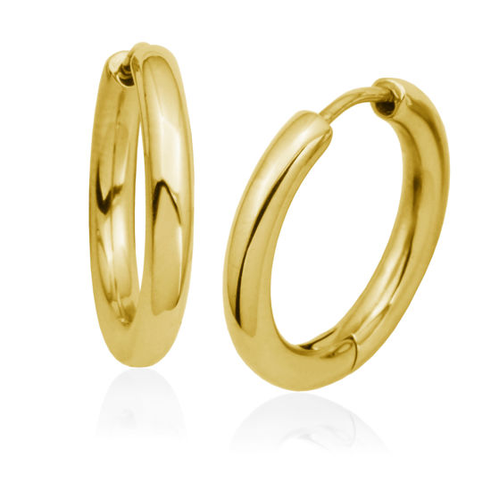 Image sur Boucles d'oreilles en acier inoxydable doré T2XE120215 de la Collection Steelx