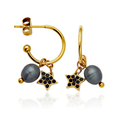 Image de Boucles d'oreilles en acier inoxydable or T2XG690200 de la Collection Steelx