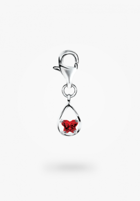 Image de Breloque en argent 925 du mois de janvier de la Collection Bfly