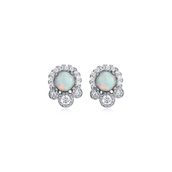 Image sur Boucles d'oreilles R2AL6K3900 en argent 925 de la Collection Reign
