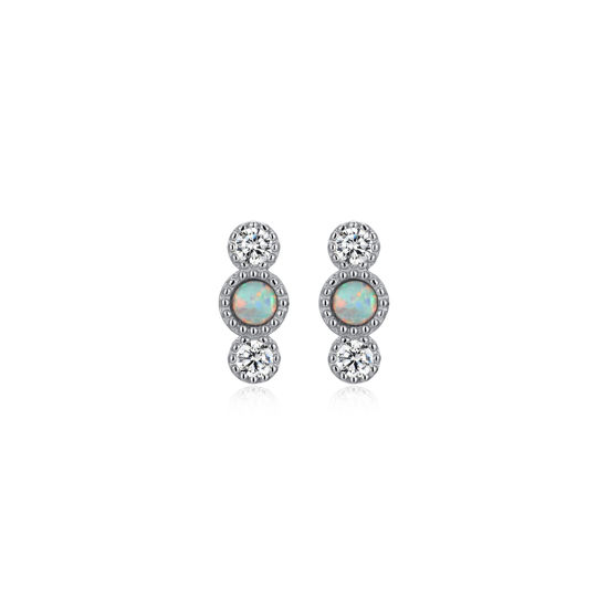Image sur Boucles d'oreilles R2AL6J8500 en argent 925 de la Collection Reign