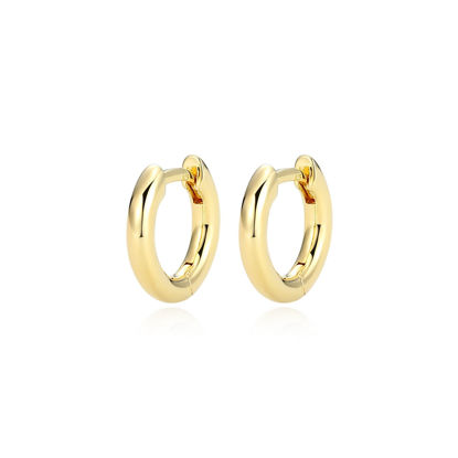 Image de Boucles d'oreilles 32AUPFA00N en argent 925 de la Collection Reign