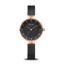 Image de Montre solaire noire et rose gold de la Collection Bering 14631-166