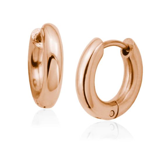 Image sur Boucles d'oreilles en acier inoxydable rosé T2XE120380 de la Collection Steelx