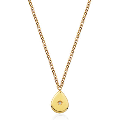 Image de Collier en acier inoxydable doré T3XD970218 de la Collection Steelx